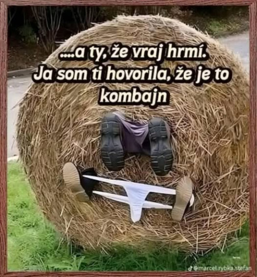 Hm... nevyrušujte, tu sme pri žatve!