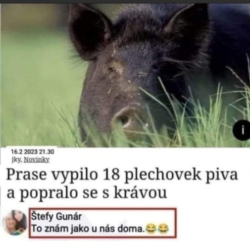 Ako u nás doma